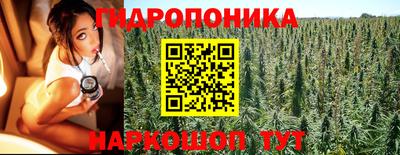 ALPHA PVP Кизляр